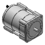 Two poles round shaft motor